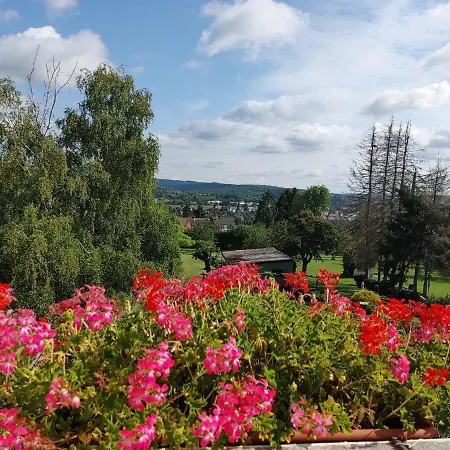 Ferienwohnung Mit Aussicht Saarbrücken Buitenkant foto